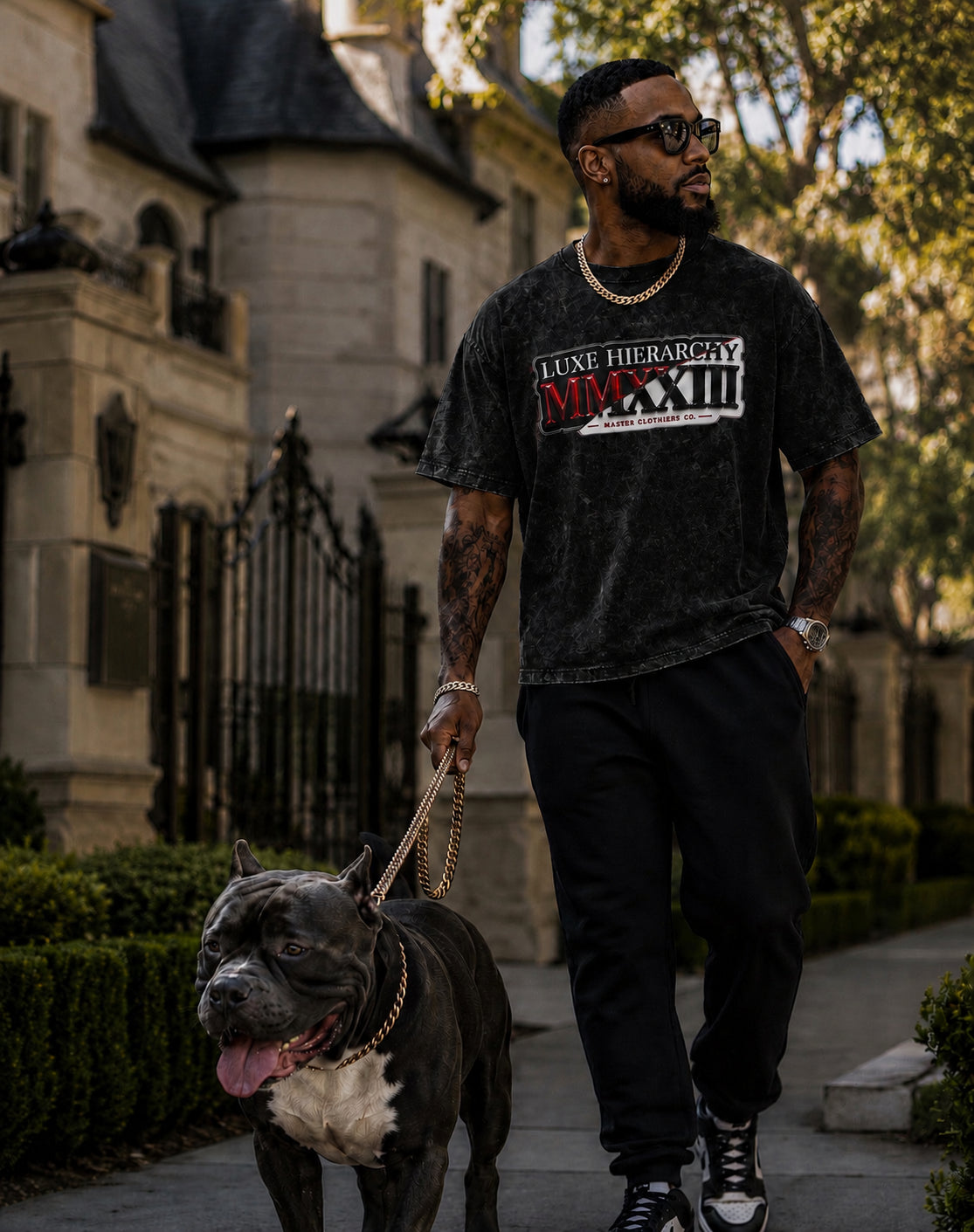 luxehierarchy,MMXXIII,NoExaggerationNecesarry,PremiumTee,VintageWash,OversizedFit,LuxuryStreetwear,BlackTee